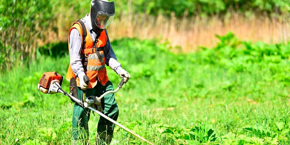 Limpieza y desbroce de parcelas